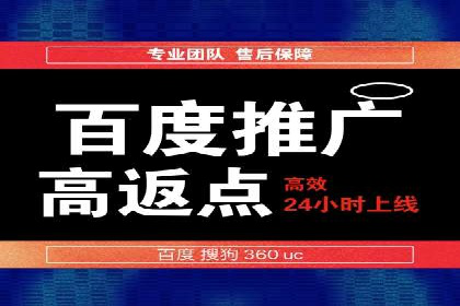 案例研究：如何通过竞价广告实现精准营销